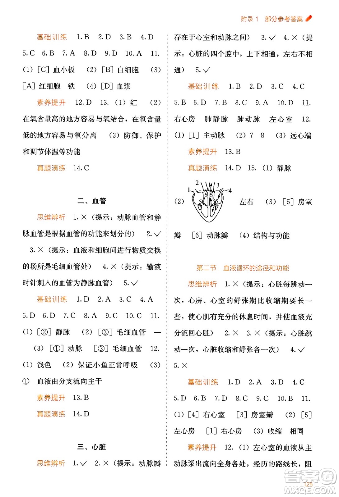 廣西教育出版社2025年春自主學(xué)習(xí)能力測評七年級生物下冊冀少版答案