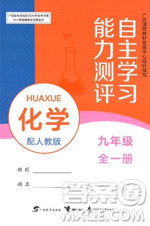 廣西教育出版社2025年春自主學(xué)習(xí)能力測(cè)評(píng)九年級(jí)化學(xué)下冊(cè)人教版答案