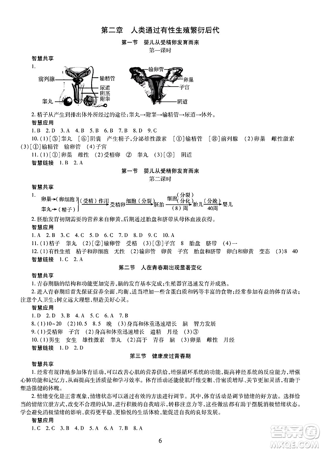 明天出版社2025年春智慧學(xué)習(xí)導(dǎo)學(xué)練七年級生物下冊人教版答案