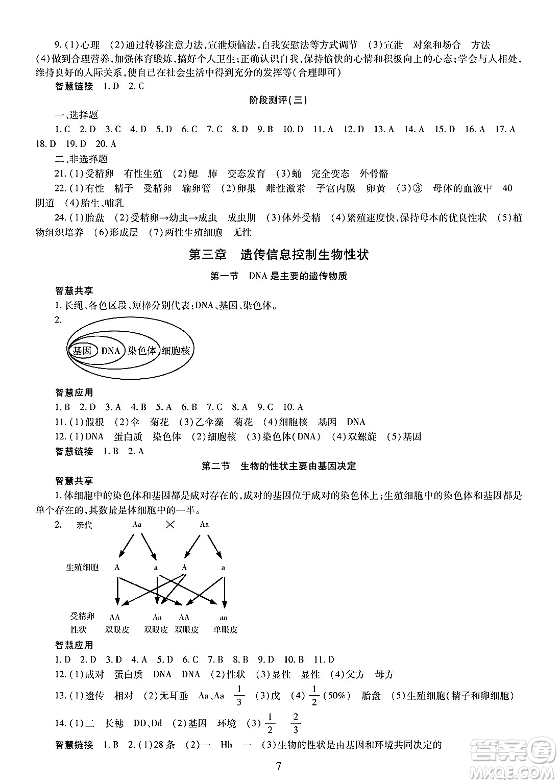 明天出版社2025年春智慧學(xué)習(xí)導(dǎo)學(xué)練七年級生物下冊人教版答案