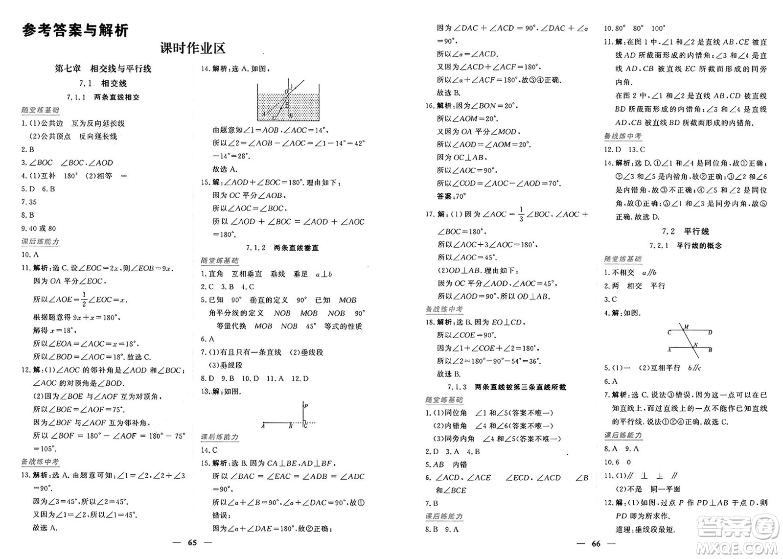 青海人民出版社2025年春新坐標(biāo)同步練習(xí)七年級(jí)數(shù)學(xué)下冊(cè)人教版青海專版答案