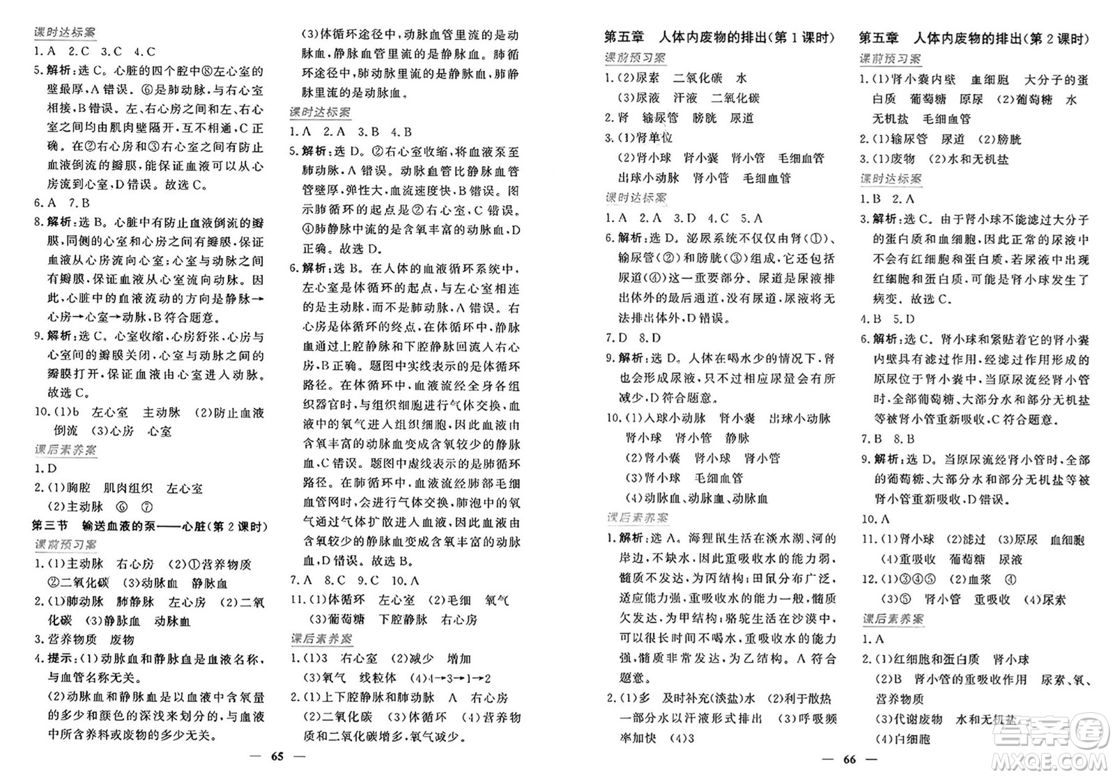 青海人民出版社2025年春新坐標同步練習七年級生物下冊人教版青海專版答案