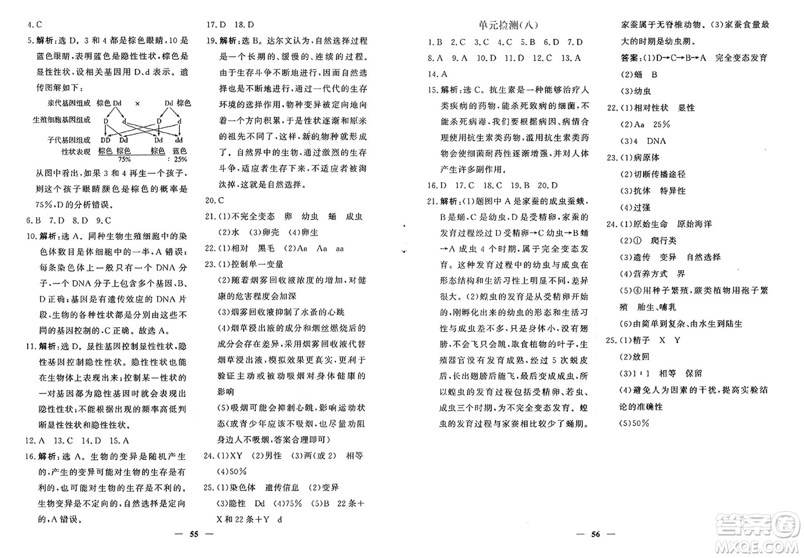 青海人民出版社2025年春新坐標(biāo)同步練習(xí)八年級生物下冊人教版青海專版答案