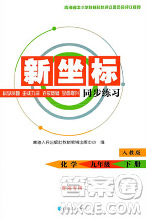 青海人民出版社2025年春新坐標(biāo)同步練習(xí)九年級化學(xué)下冊人教版青海專版答案