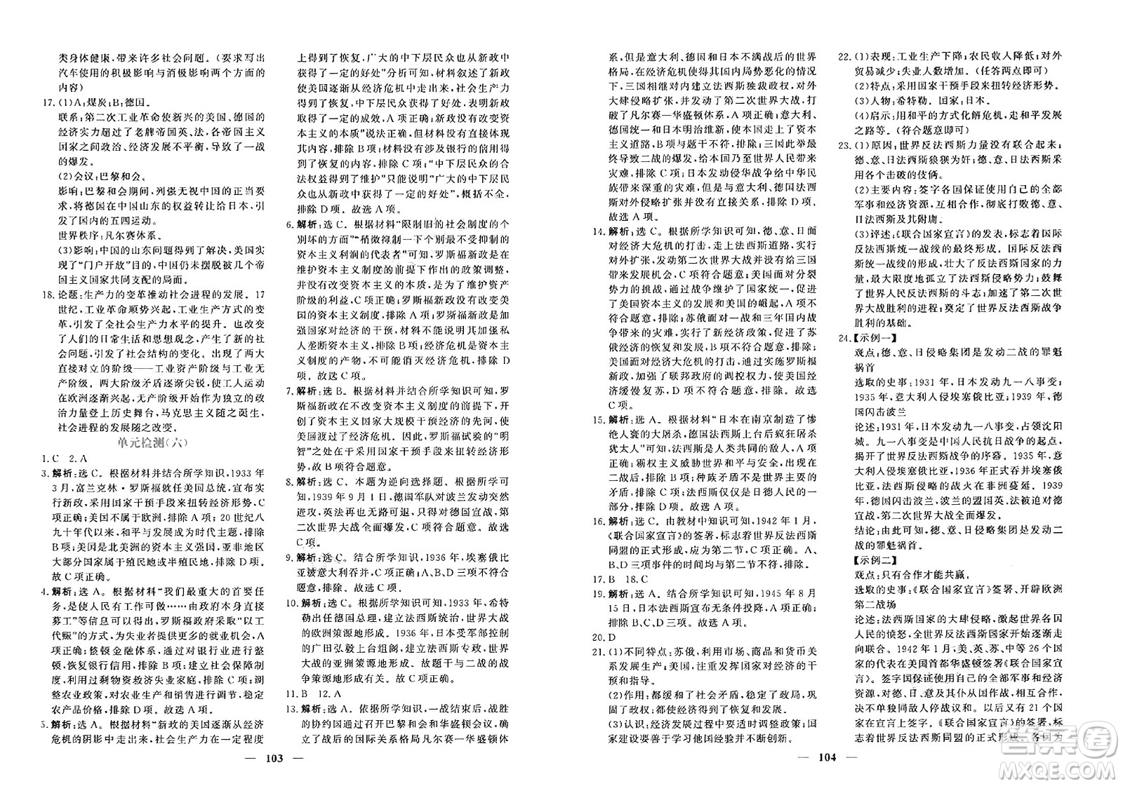 青海人民出版社2025年春新坐標(biāo)同步練習(xí)九年級歷史下冊人教版青海專版答案