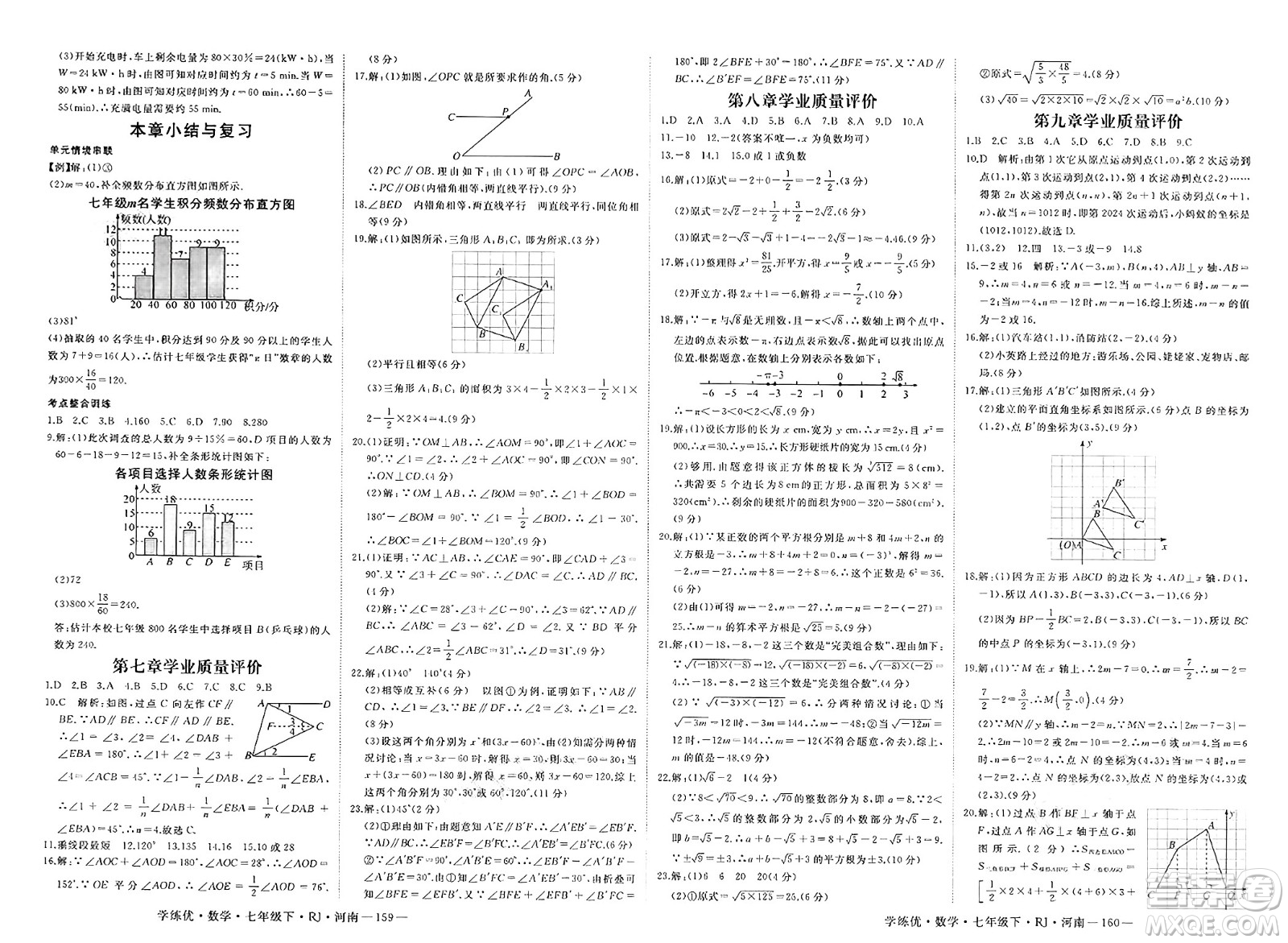 延邊大學(xué)出版社2025年春優(yōu)翼學(xué)練優(yōu)七年級(jí)數(shù)學(xué)下冊(cè)人教版河南專版答案