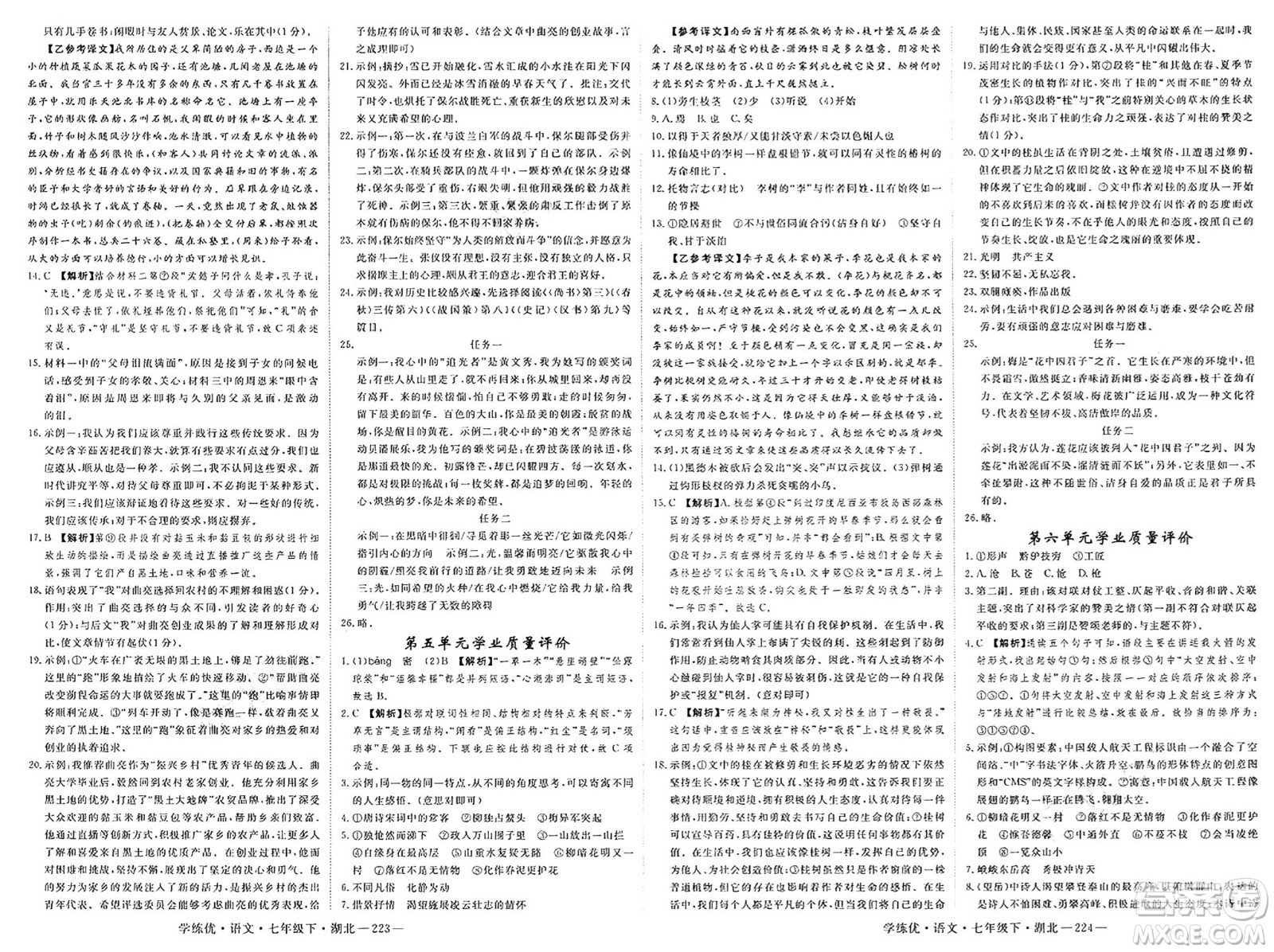 武漢出版社2025年春優(yōu)翼學練優(yōu)七年級語文下冊人教版湖北專版答案