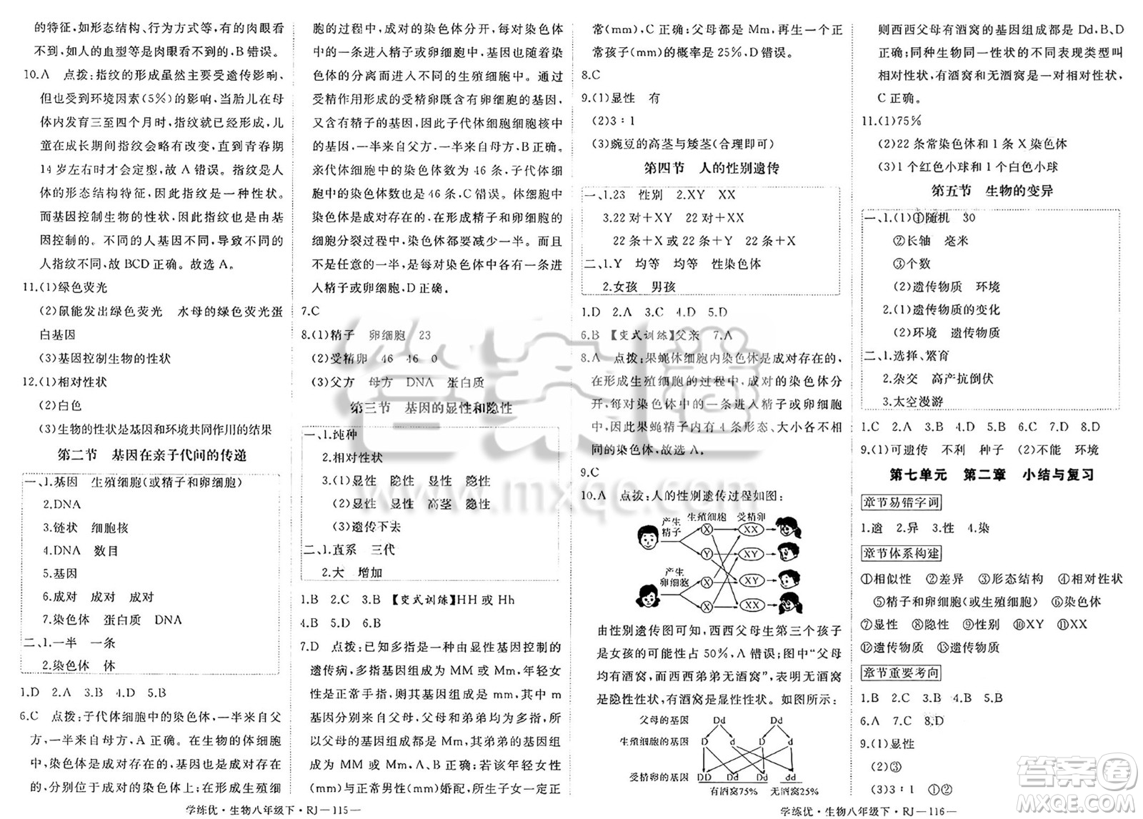 寧夏人民教育出版社2025年春優(yōu)翼學(xué)練優(yōu)八年級(jí)生物下冊(cè)人教版答案