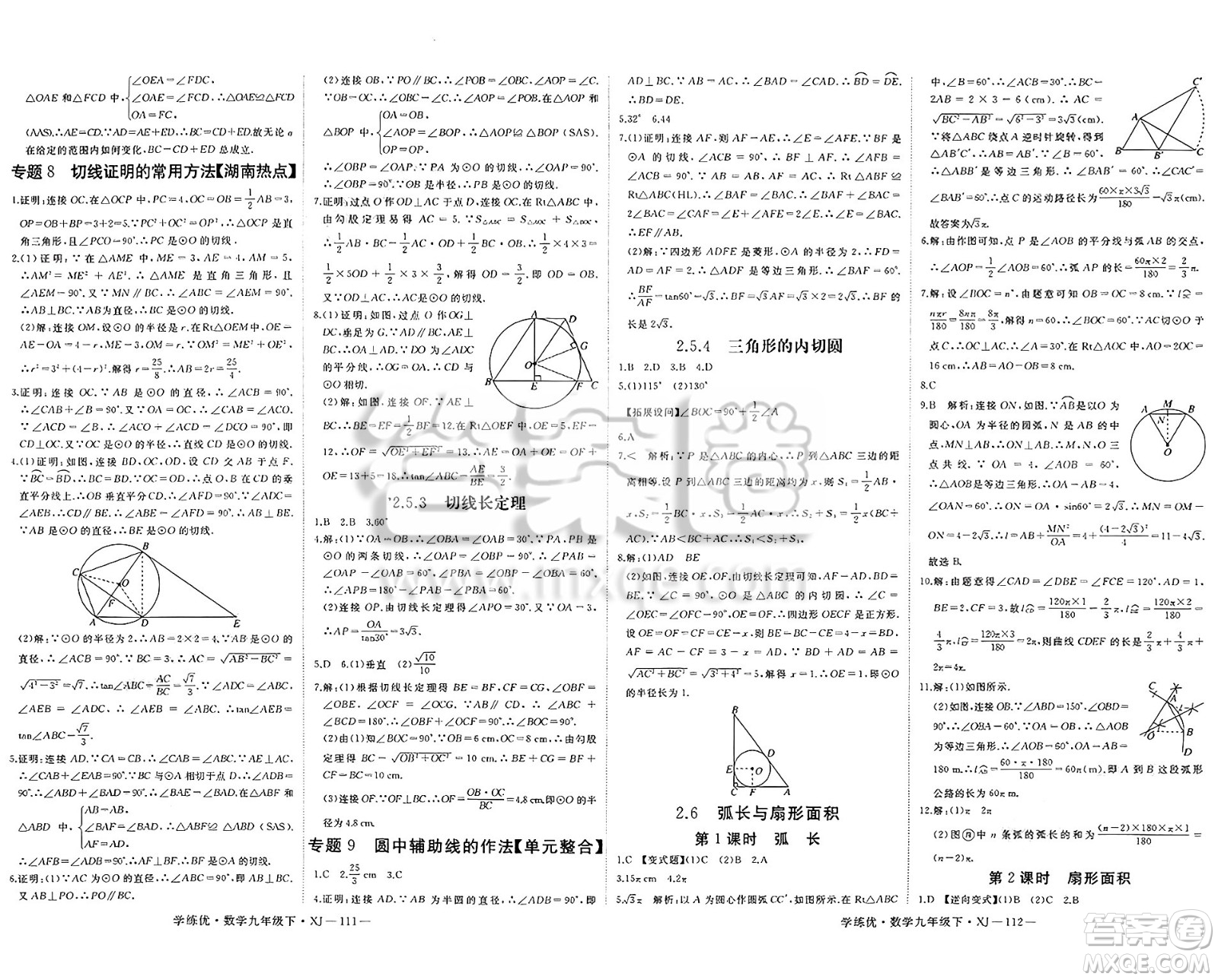 延邊大學(xué)出版社2025年春優(yōu)翼學(xué)練優(yōu)九年級(jí)數(shù)學(xué)下冊(cè)湘教版答案