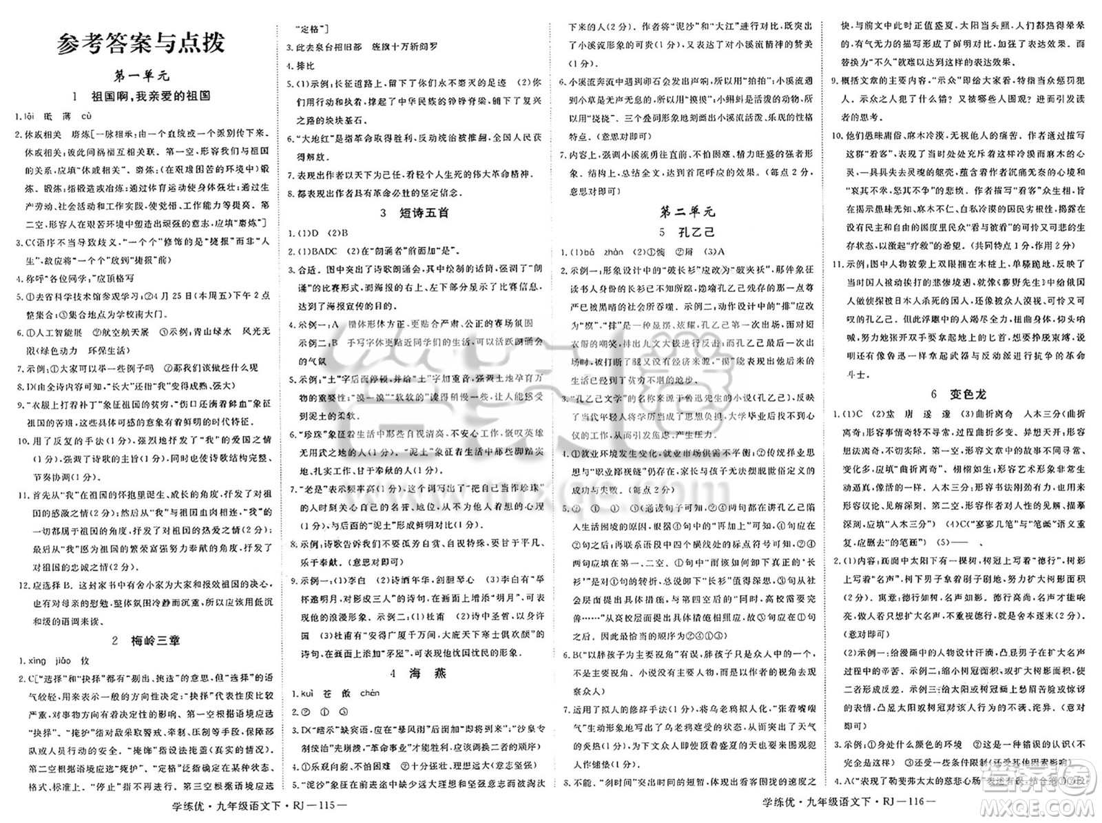 延邊大學(xué)出版社2025年春優(yōu)翼學(xué)練優(yōu)九年級語文下冊人教版答案