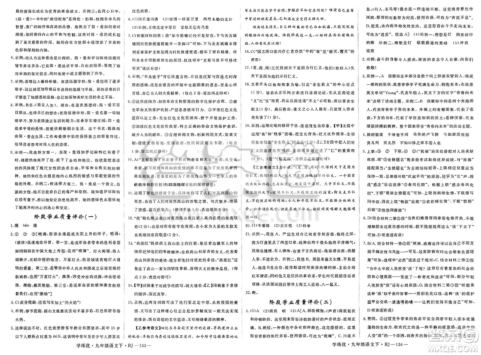 延邊大學(xué)出版社2025年春優(yōu)翼學(xué)練優(yōu)九年級語文下冊人教版答案