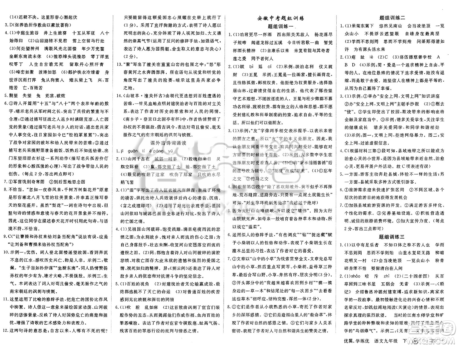 合肥工業(yè)大學(xué)出版社2025年春優(yōu)翼學(xué)練優(yōu)九年級語文下冊人教版安徽專版答案