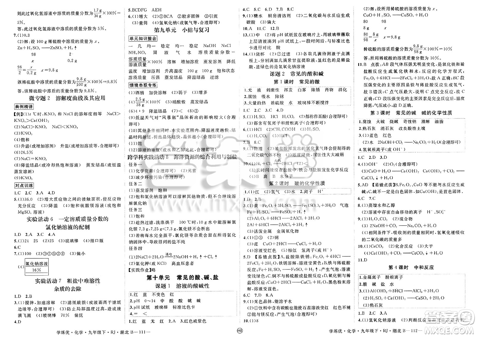延邊大學(xué)出版社2025年春優(yōu)翼學(xué)練優(yōu)九年級(jí)化學(xué)下冊(cè)人教版湖北專版答案