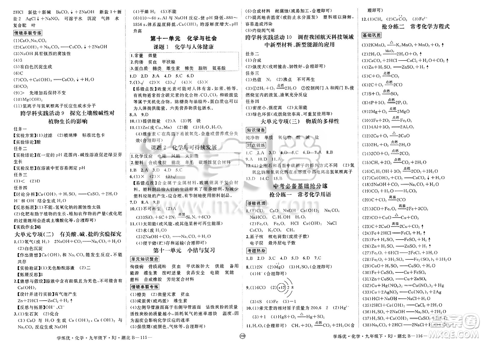 延邊大學(xué)出版社2025年春優(yōu)翼學(xué)練優(yōu)九年級(jí)化學(xué)下冊(cè)人教版湖北專版答案