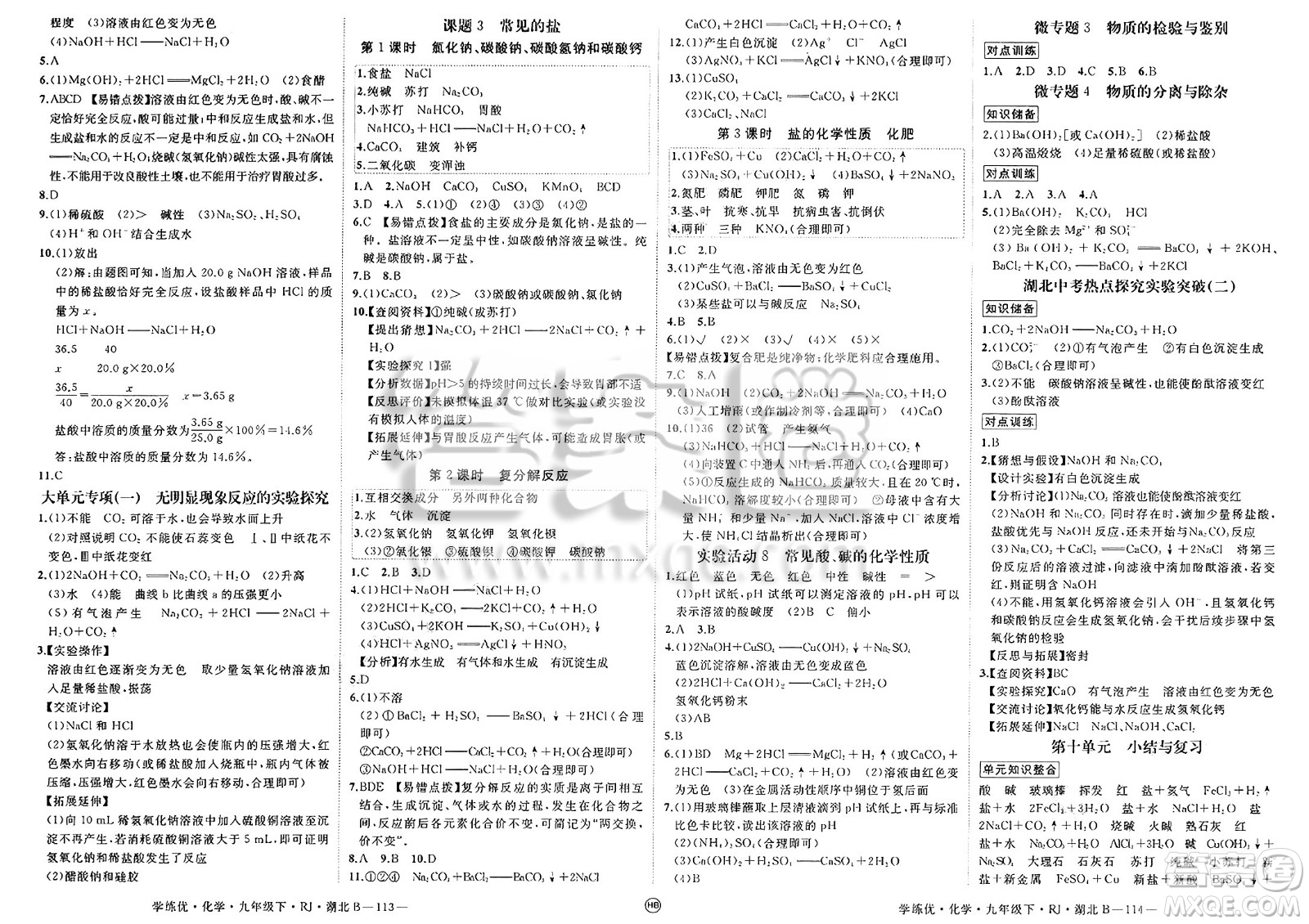延邊大學(xué)出版社2025年春優(yōu)翼學(xué)練優(yōu)九年級(jí)化學(xué)下冊(cè)人教版湖北專版答案