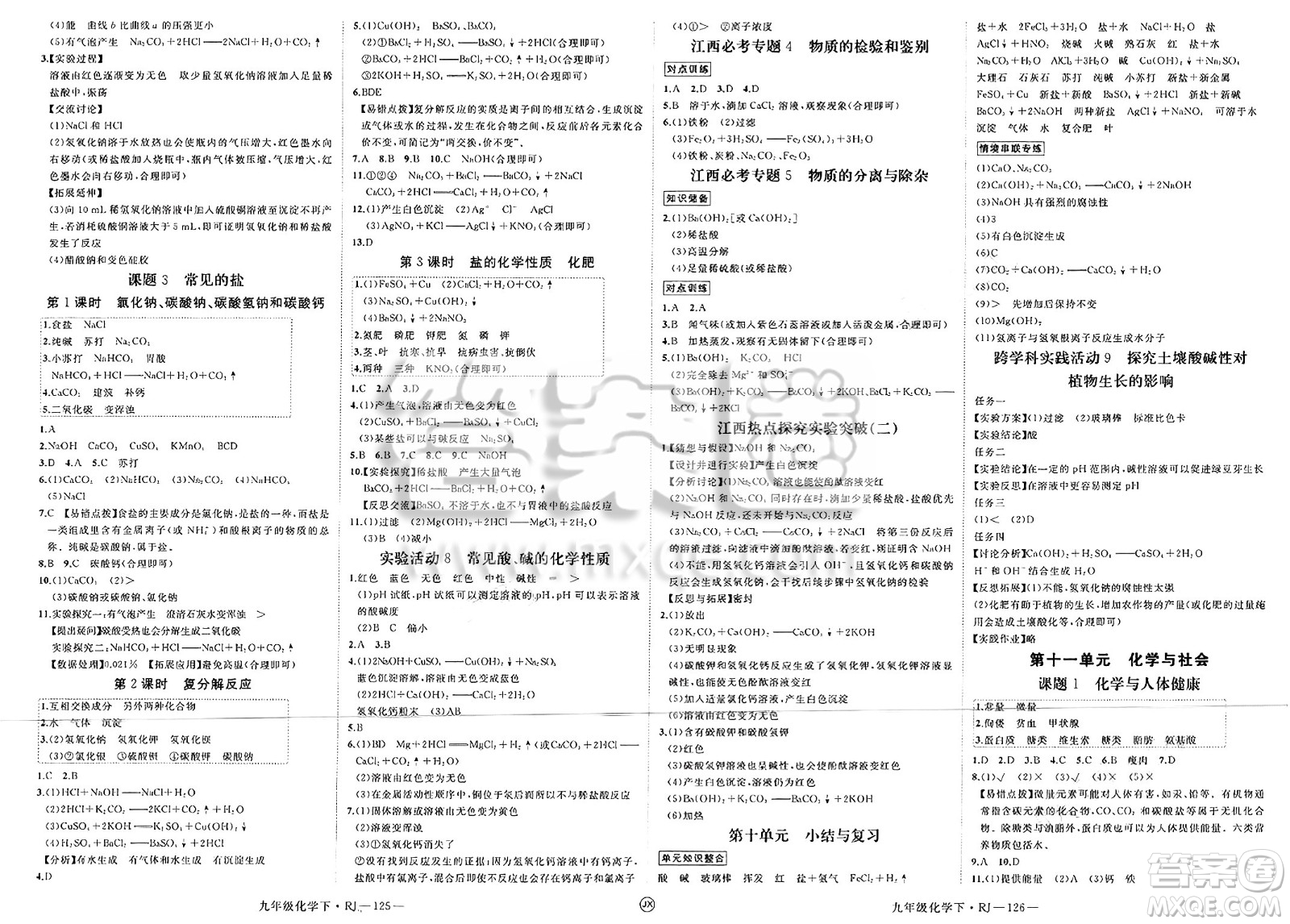 延邊大學(xué)出版社2025年春優(yōu)翼學(xué)練優(yōu)九年級化學(xué)下冊人教版江西專版答案