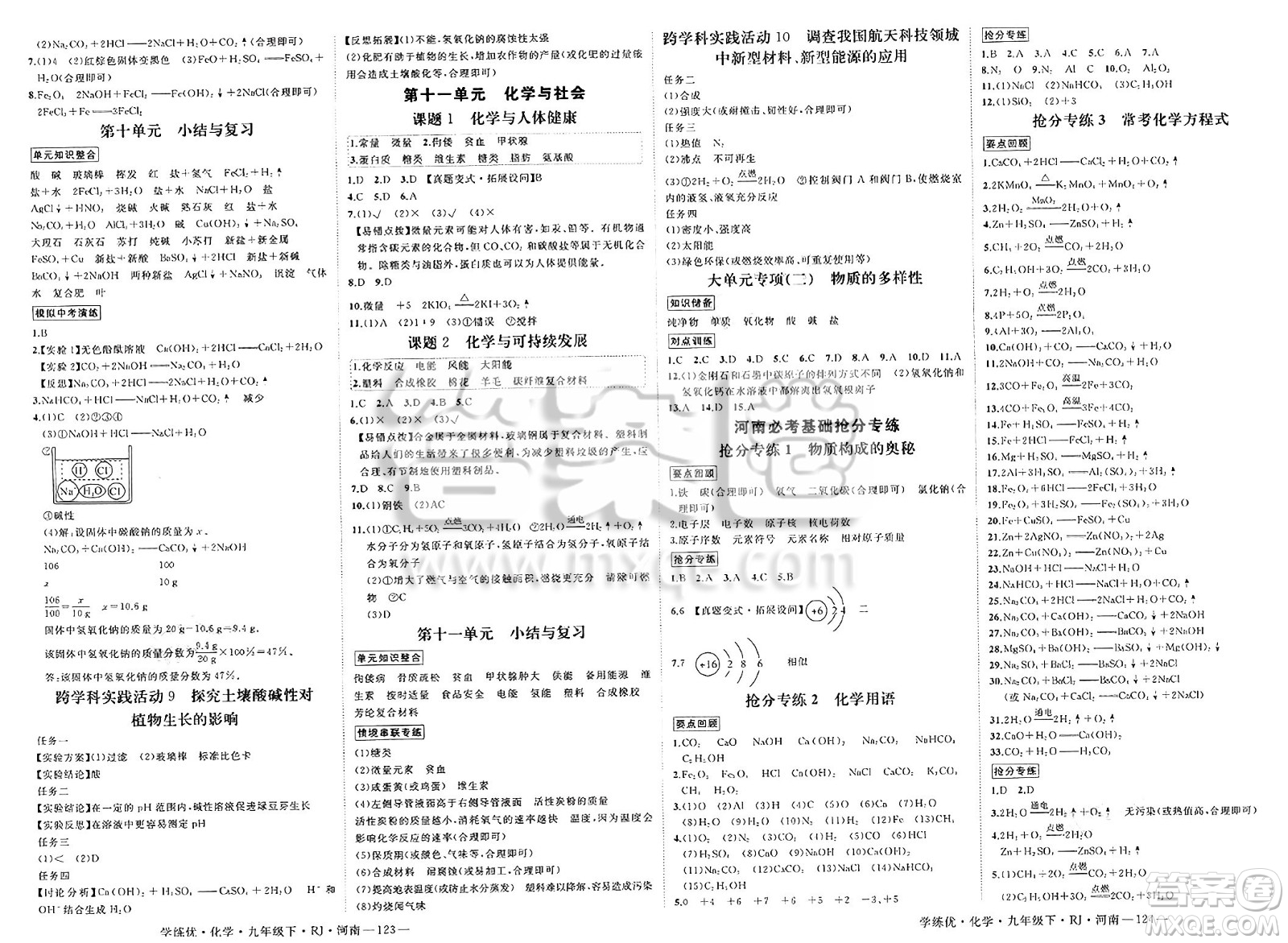 延邊大學(xué)出版社2025年春優(yōu)翼學(xué)練優(yōu)九年級化學(xué)下冊人教版河南專版答案