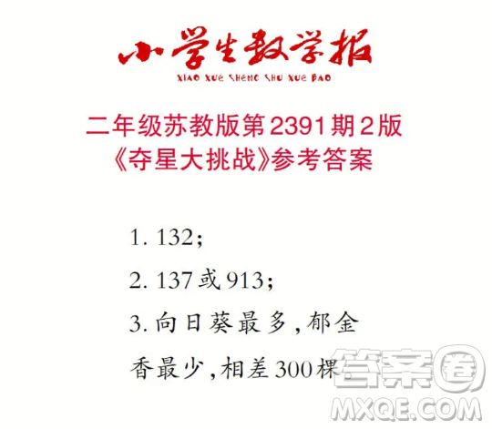 2025小學生數(shù)學報二年級第2391期答案