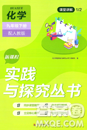 四川教育出版社2025年春新課程實踐與探究叢書九年級化學(xué)下冊人教版答案