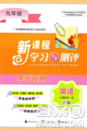 廣西師范大學(xué)出版社2025年春新課程學(xué)習(xí)與測評單元雙測九年級英語下冊C版譯林版答案