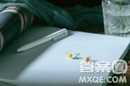 當(dāng)外在的意義之塔崩塌時(shí)真正的意義正在每個(gè)人的腳下生長材料作文800字