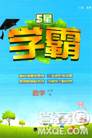 河海大學(xué)出版社2025年春5星學(xué)霸六年級數(shù)學(xué)下冊人教版答案