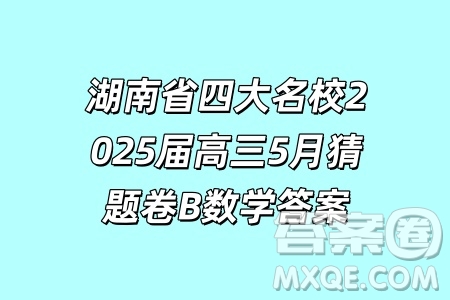 湖南省四大名校2025屆高三5月猜題卷B數(shù)學(xué)答案