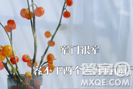現(xiàn)實(shí)社會(huì)中太多人愿意選擇寬門材料作文800字