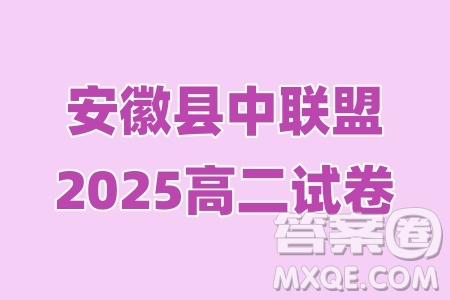 安徽縣中聯(lián)盟2025高二下學(xué)期5月聯(lián)考25-X-732B英語(yǔ)答案