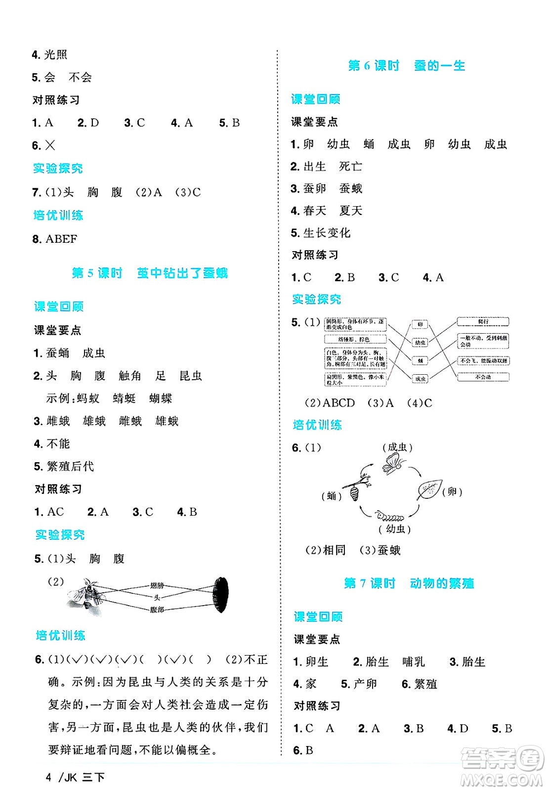 江西教育出版社2025年春陽光同學課時優(yōu)化作業(yè)三年級科學下冊教科版答案