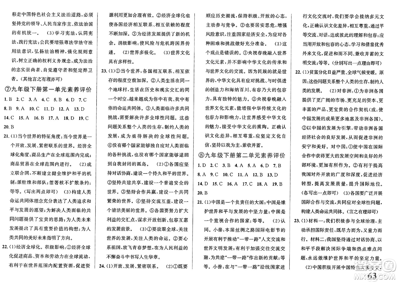 浙江教育出版社2025年春自主高效練九年級道德與法治下冊通用版答案