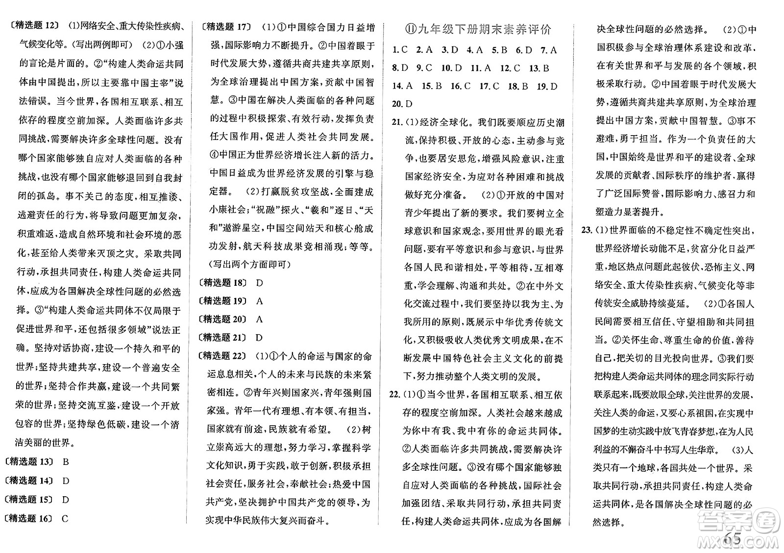 浙江教育出版社2025年春自主高效練九年級道德與法治下冊通用版答案