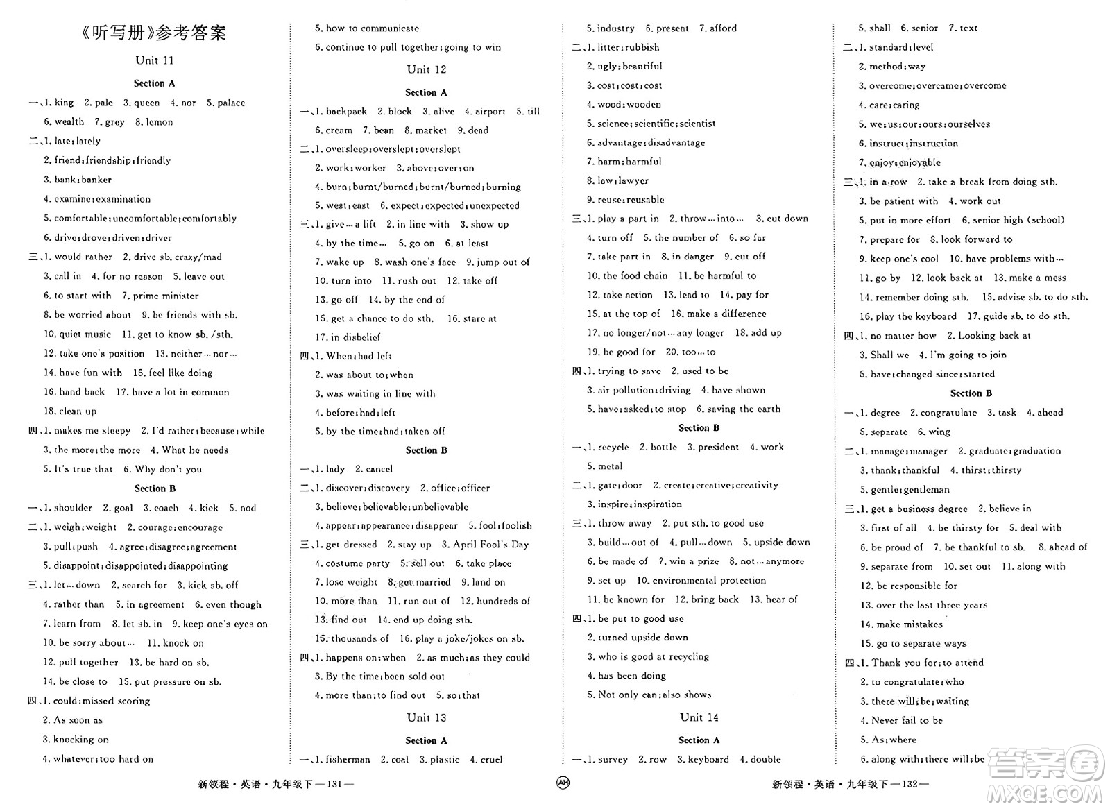 延邊大學(xué)出版社2025年春優(yōu)翼新領(lǐng)程九年級英語下冊人教版安徽專版答案