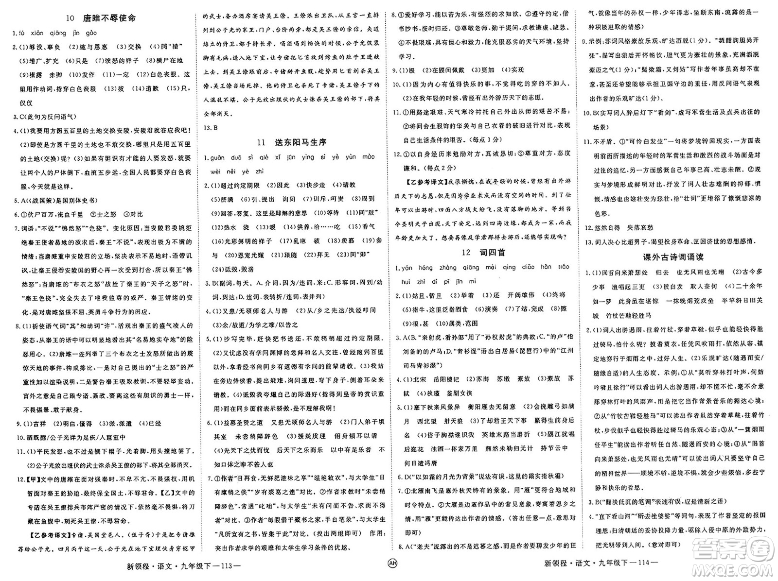 延邊大學(xué)出版社2025年春優(yōu)翼新領(lǐng)程九年級(jí)語(yǔ)文下冊(cè)人教版安徽專版答案