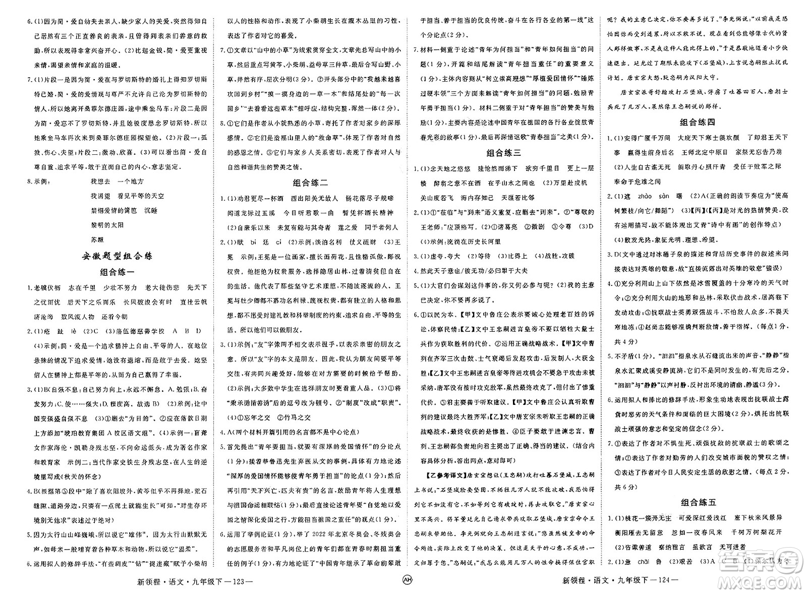 延邊大學(xué)出版社2025年春優(yōu)翼新領(lǐng)程九年級(jí)語(yǔ)文下冊(cè)人教版安徽專版答案