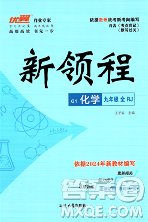 延邊大學(xué)出版社2025年春優(yōu)翼新領(lǐng)程九年級(jí)化學(xué)下冊(cè)人教版貴州專版答案