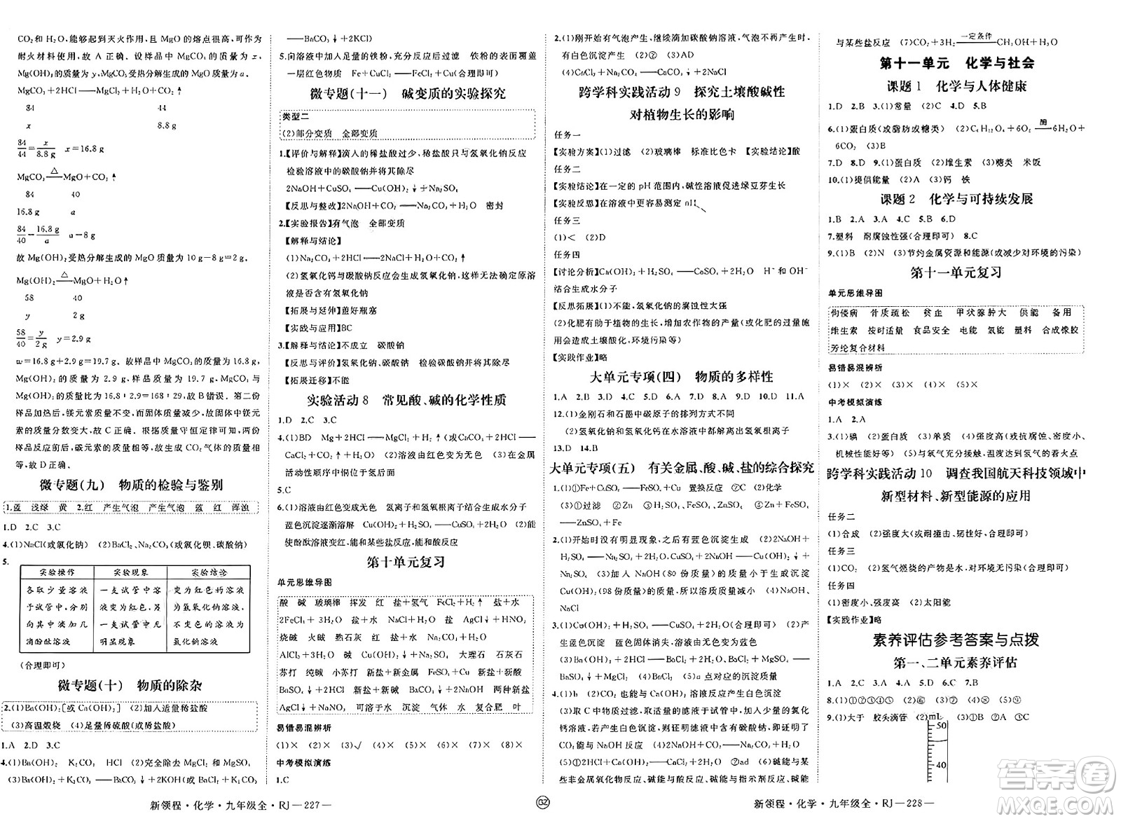 延邊大學(xué)出版社2025年春優(yōu)翼新領(lǐng)程九年級(jí)化學(xué)下冊(cè)人教版貴州專版答案