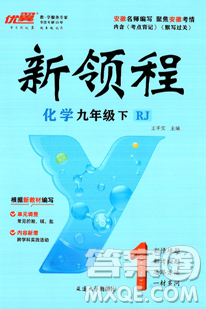 延邊大學出版社2025年春優(yōu)翼新領程九年級化學下冊人教版安徽專版答案