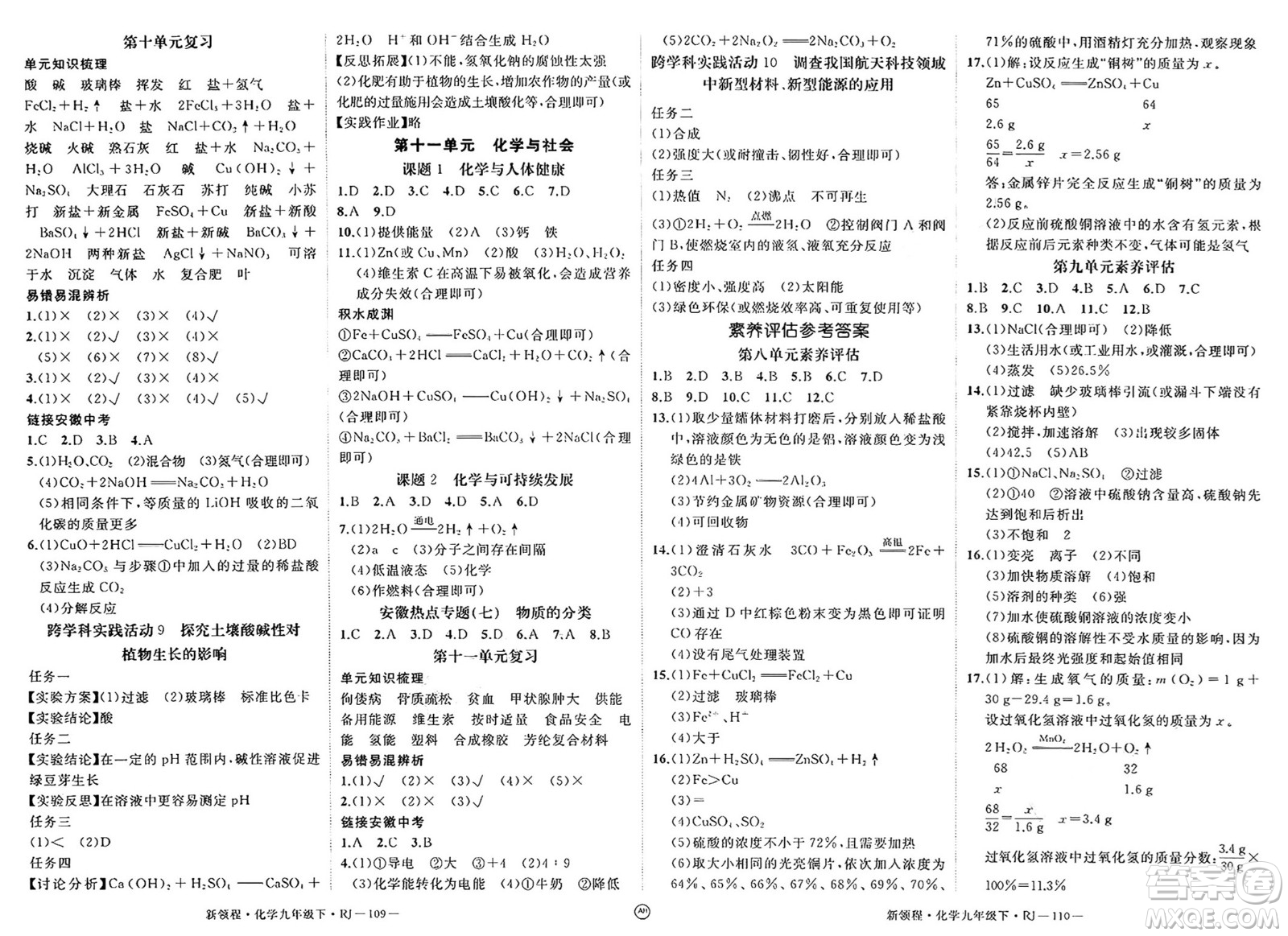 延邊大學出版社2025年春優(yōu)翼新領程九年級化學下冊人教版安徽專版答案