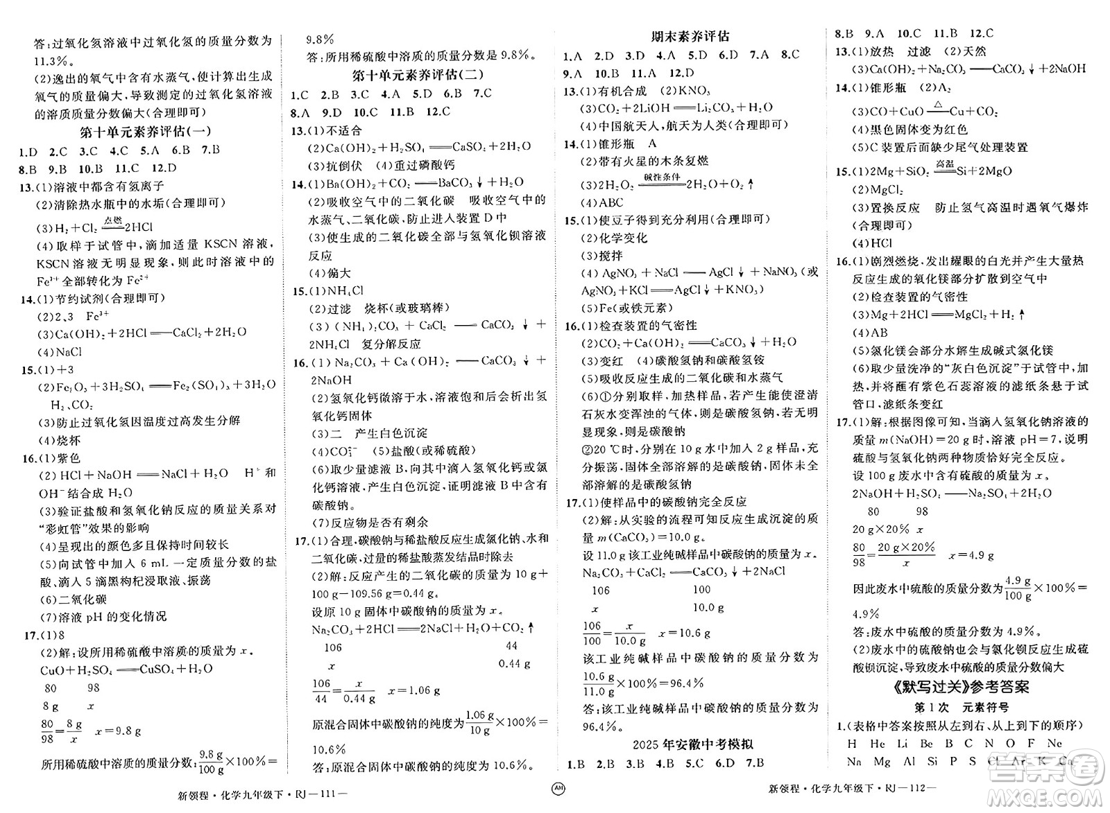 延邊大學出版社2025年春優(yōu)翼新領程九年級化學下冊人教版安徽專版答案