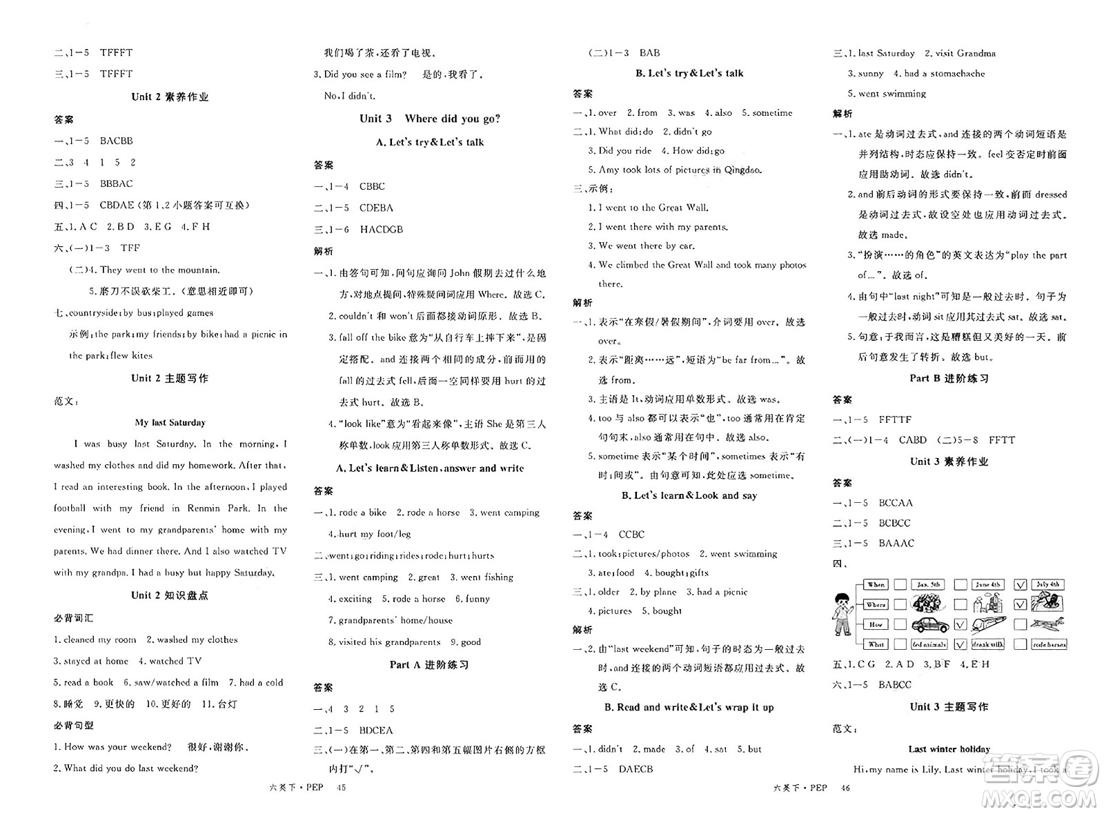 延邊大學(xué)出版社2025年春優(yōu)翼新領(lǐng)程六年級英語下冊人教PEP版答案