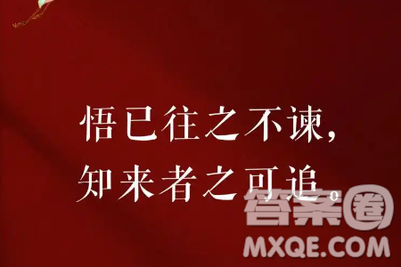 悟已往之不諫知來者之可追材料作文800字