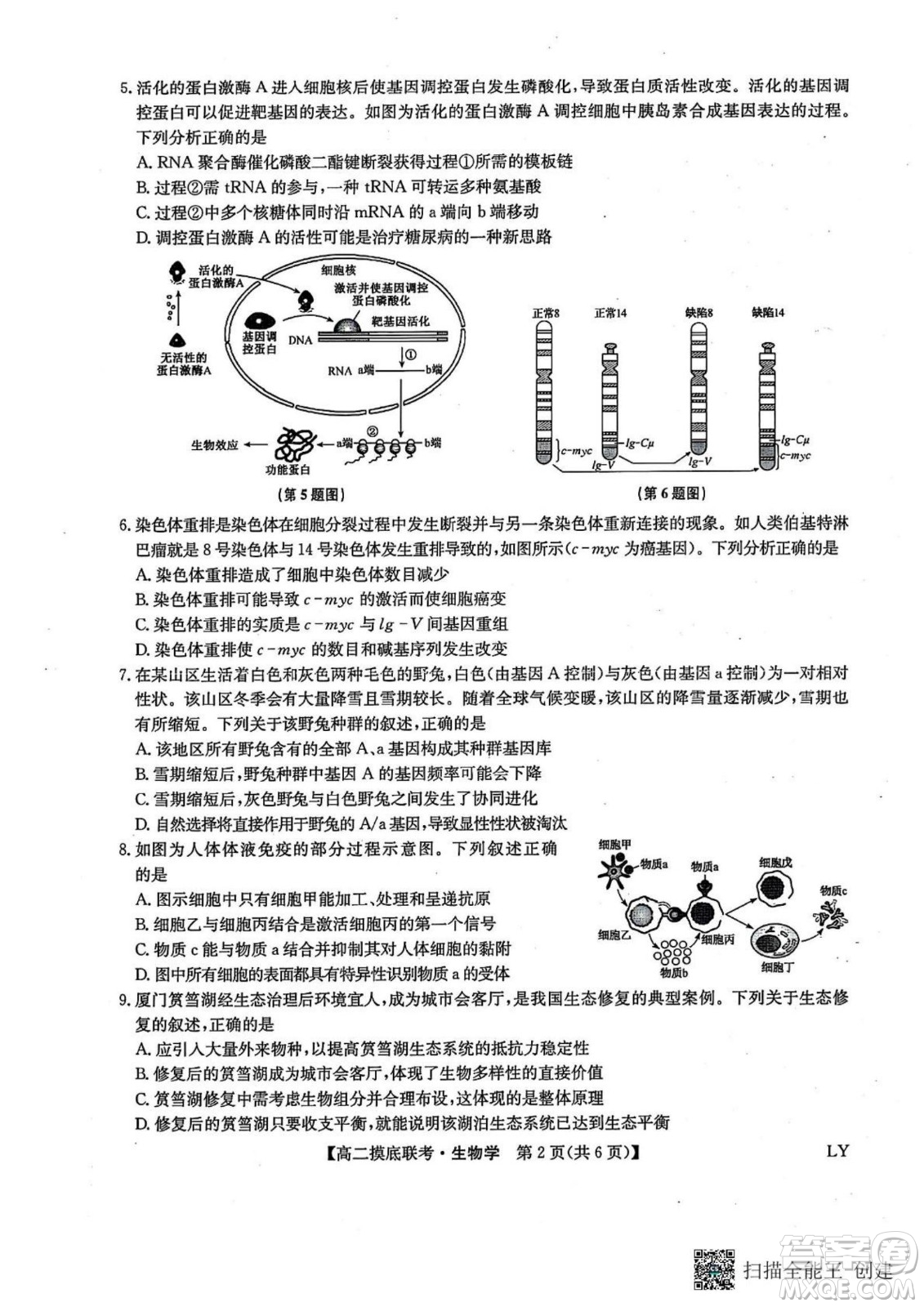 九師聯(lián)盟2025高二下學(xué)期6月摸底聯(lián)考生物答案