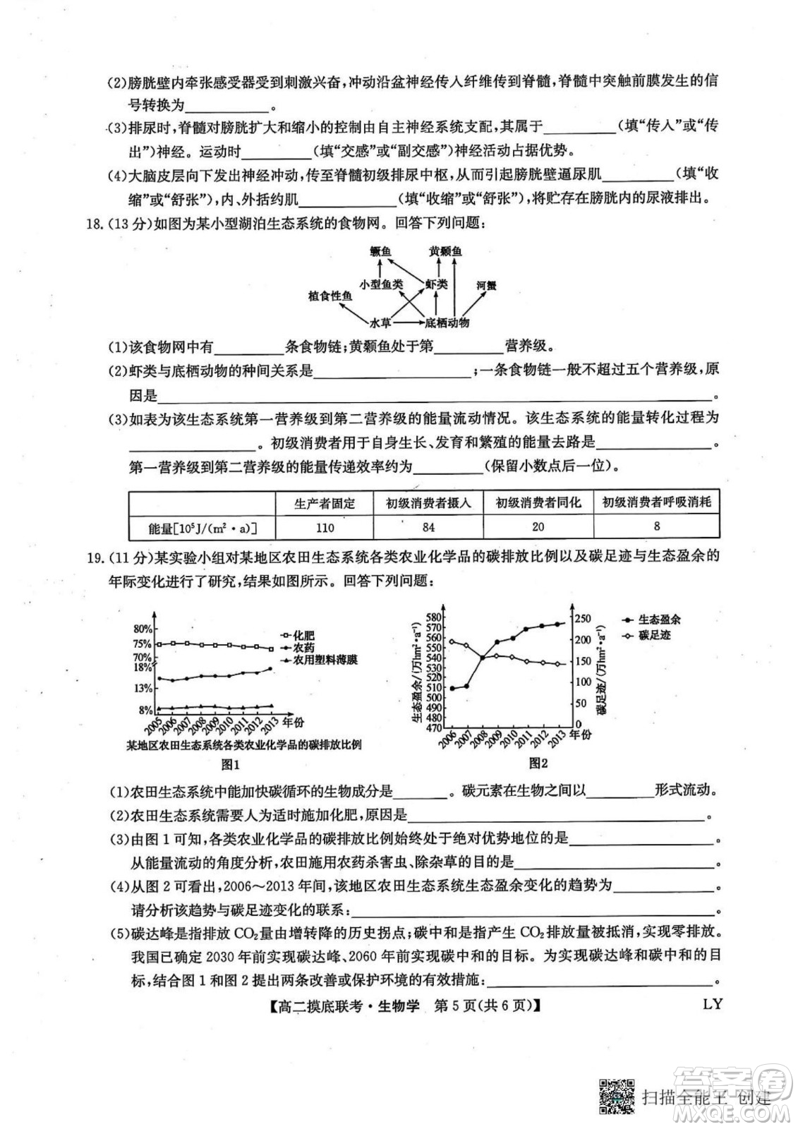 九師聯(lián)盟2025高二下學(xué)期6月摸底聯(lián)考生物答案
