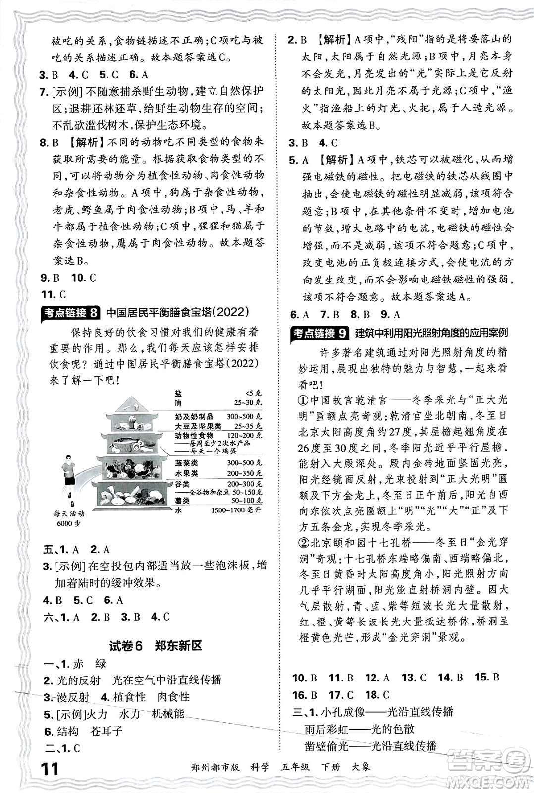 江西人民出版社2025年春王朝霞鄭州期末真題精編五年級(jí)科學(xué)下冊(cè)大象版鄭州都市版答案