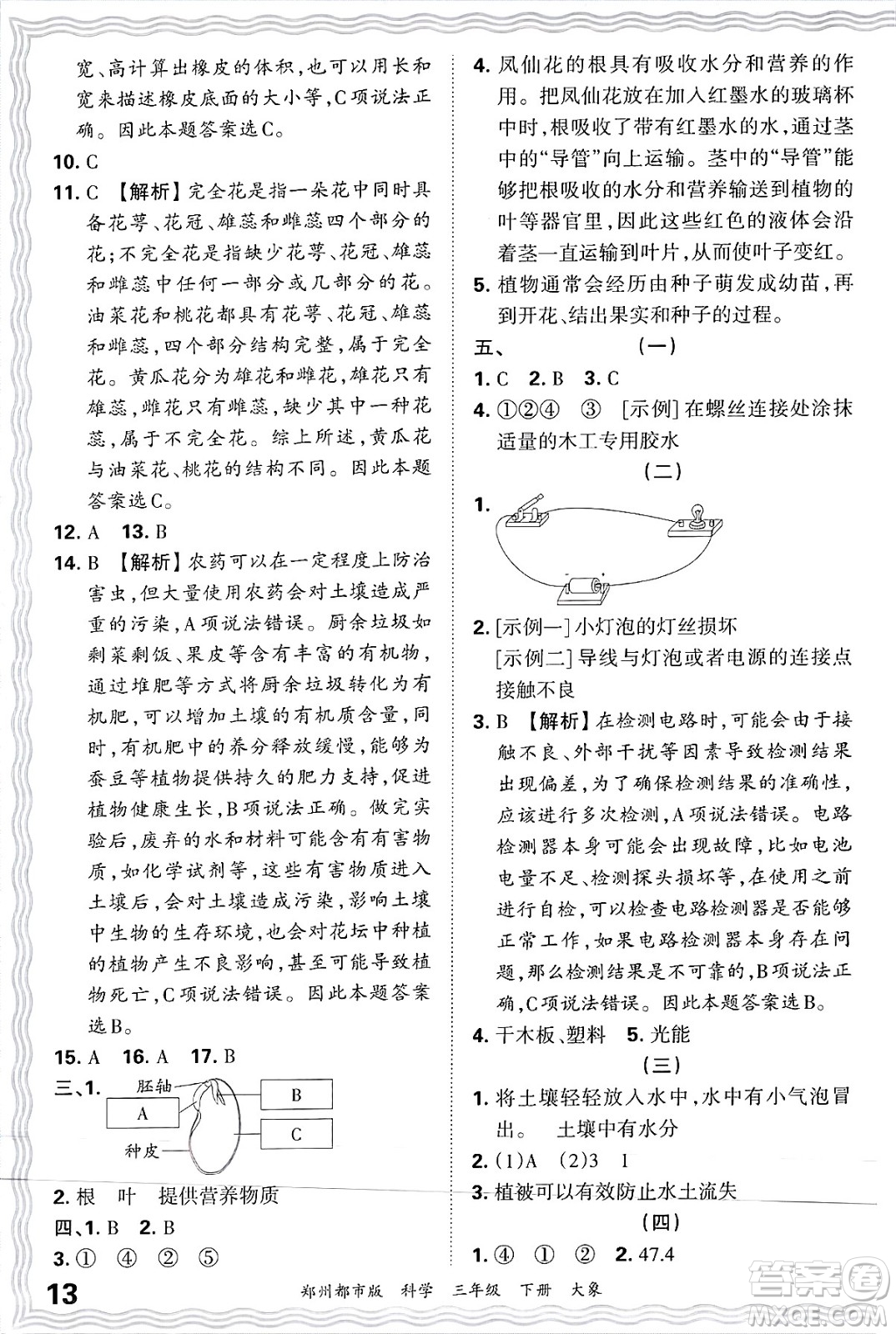 江西人民出版社2025年春王朝霞鄭州期末真題精編三年級科學(xué)下冊大象版鄭州都市版答案