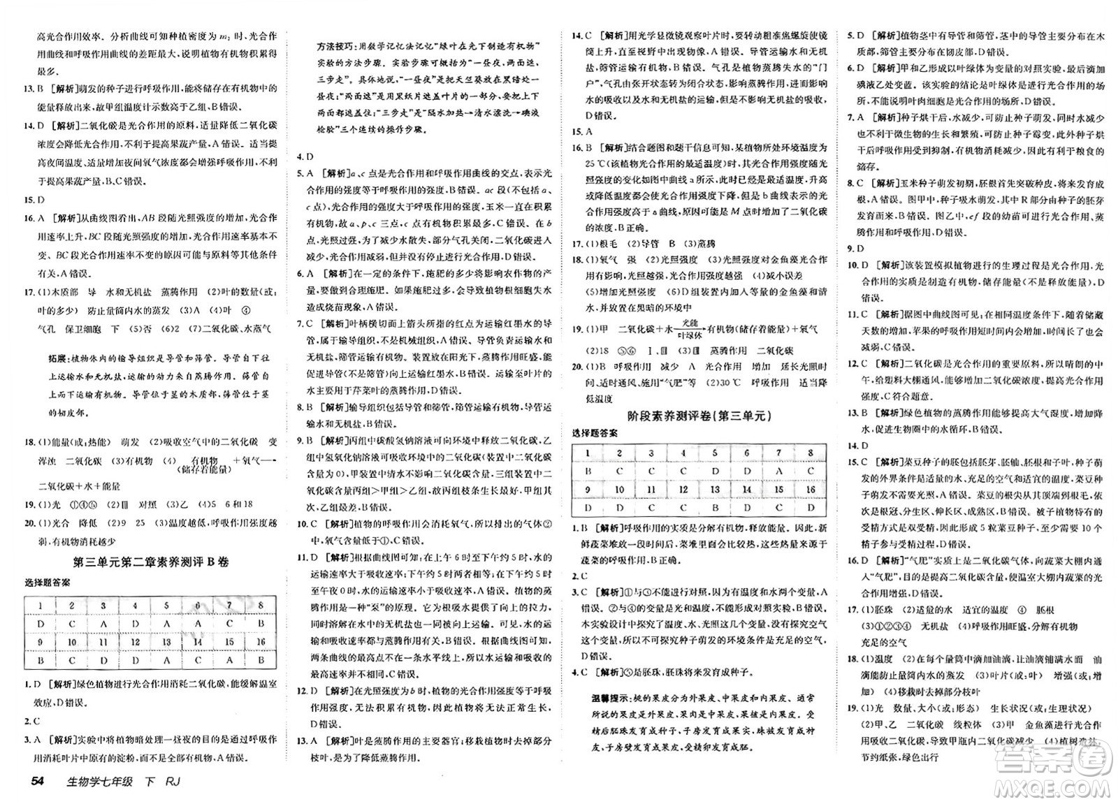 新疆青少年出版社2025年春神龍教育非常海淀單元測試AB卷七年級生物下冊人教版答案