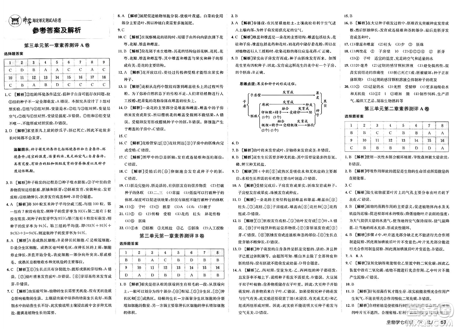 新疆青少年出版社2025年春神龍教育非常海淀單元測試AB卷七年級生物下冊人教版答案