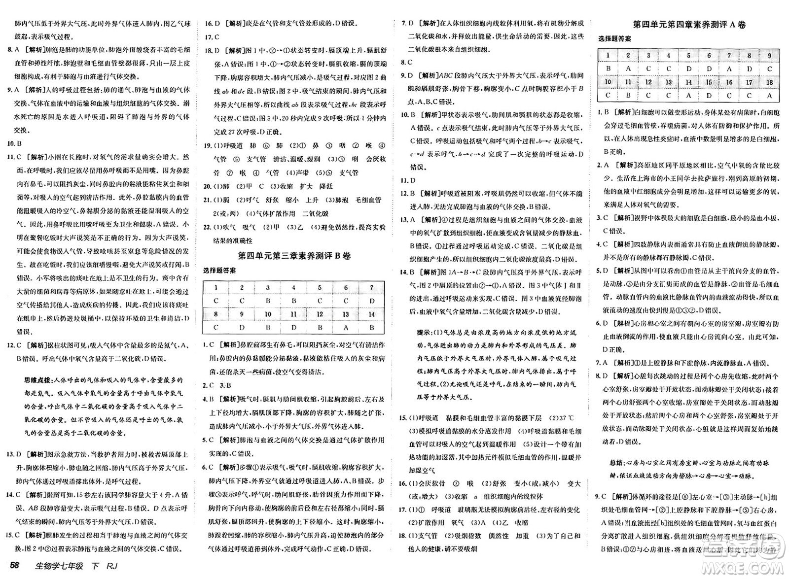 新疆青少年出版社2025年春神龍教育非常海淀單元測試AB卷七年級生物下冊人教版答案