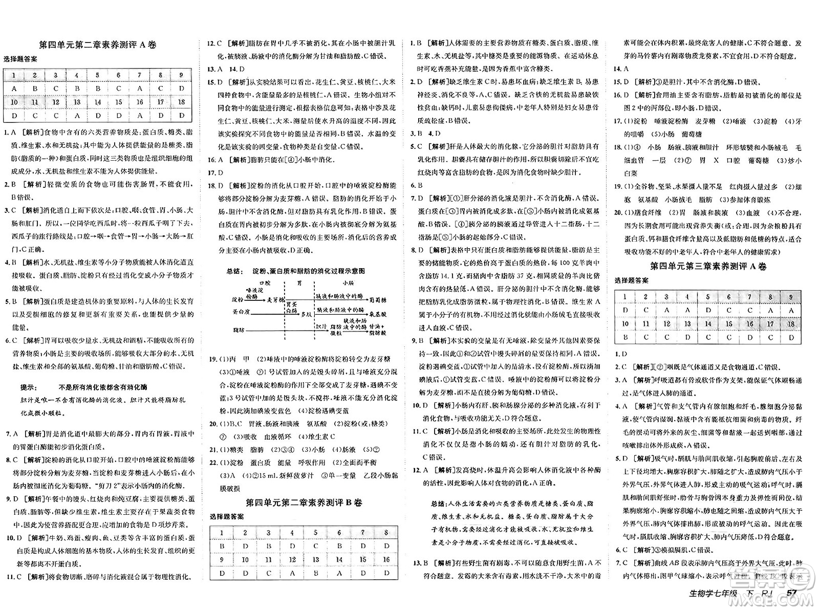 新疆青少年出版社2025年春神龍教育非常海淀單元測試AB卷七年級生物下冊人教版答案